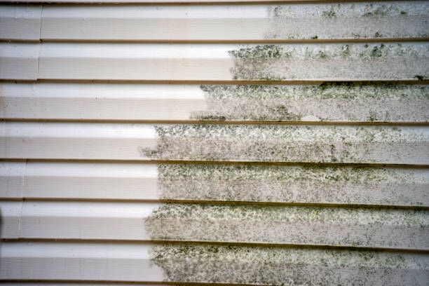 Affordable Siding Repair and Maintenance Services in Gainesville, FL