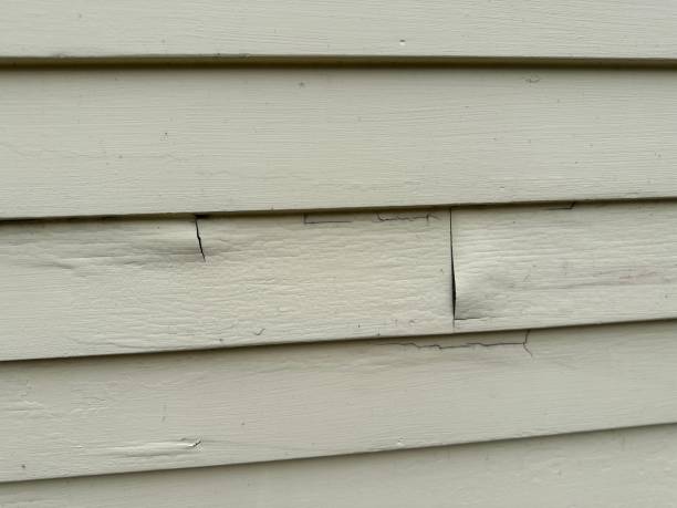 Best Custom Trim and Detailing for Siding  in Gainesville, FL